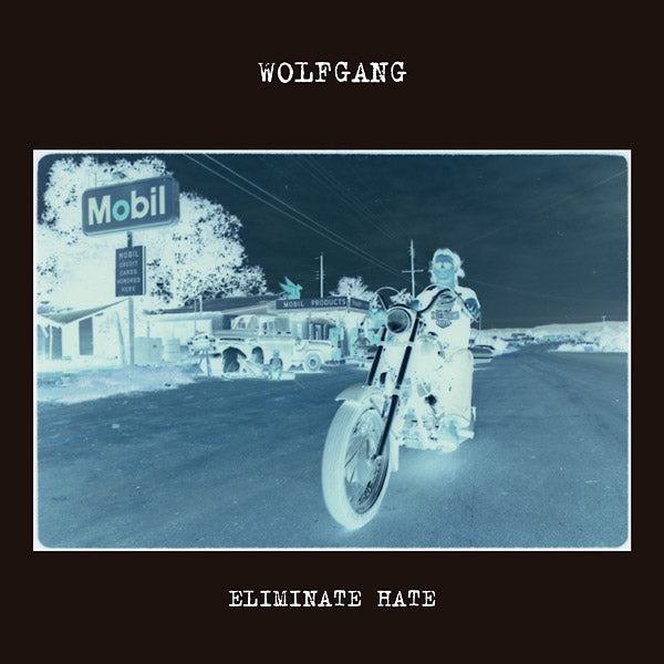 Eliminate Hate [Vinyl]