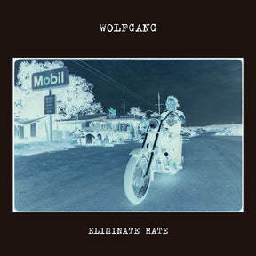 Eliminate Hate [Vinyl]