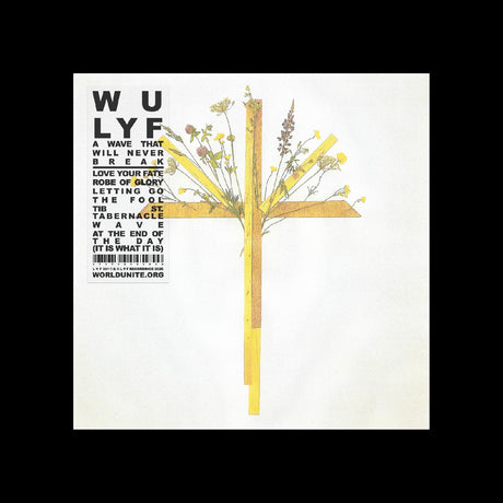 Wu Lyf - A Wave That Will Never Break [Vinyl]