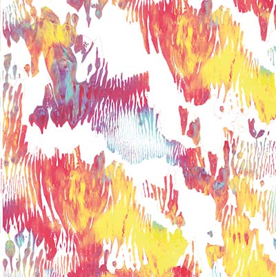 Pass Hidingly Seek (Vinyl) - Apocalypse Vinyl