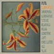 Blumenfantasie [Vinyl]