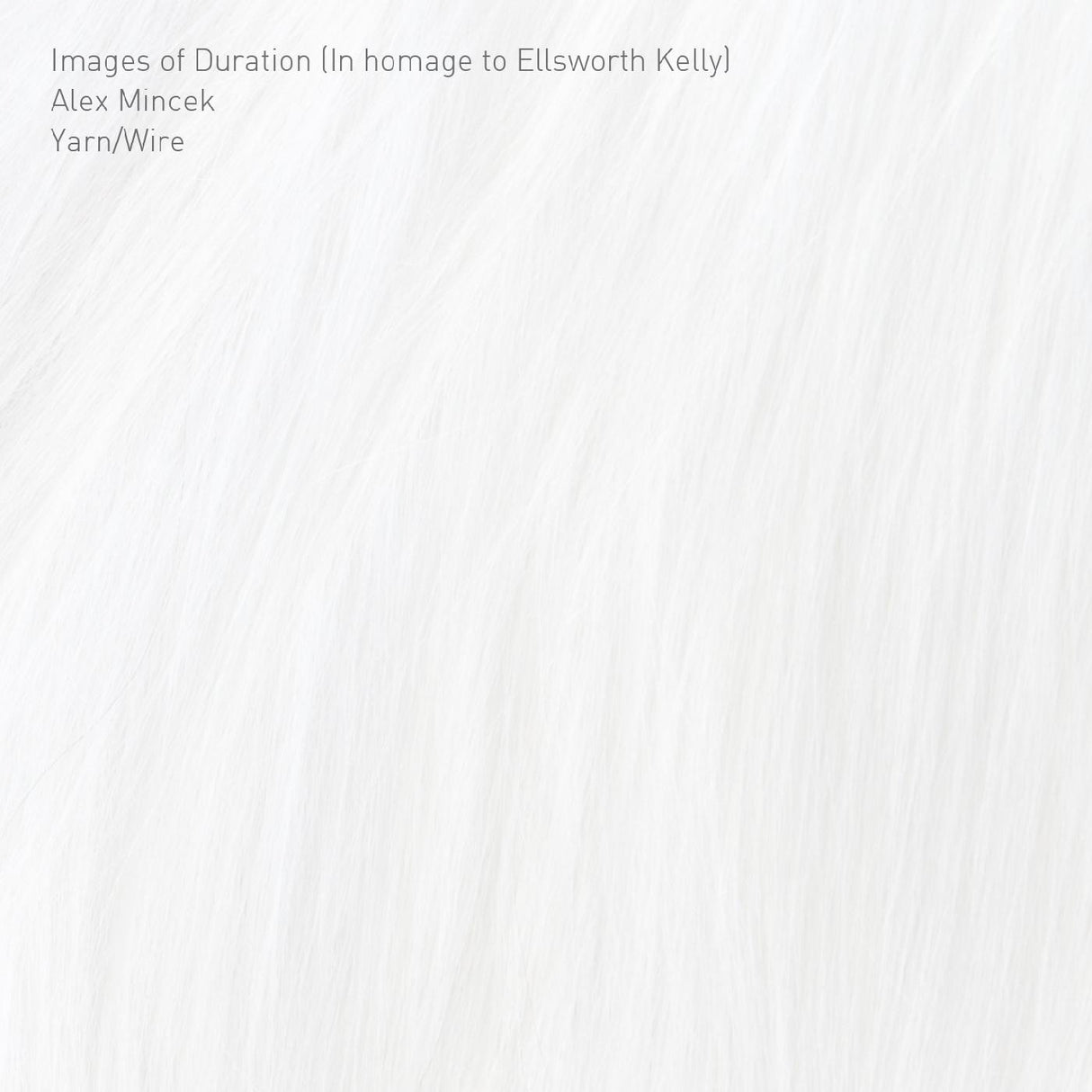 Yarn/Wire Images of Duration (In homage to Ellsworth Kelly) [Music CDs]