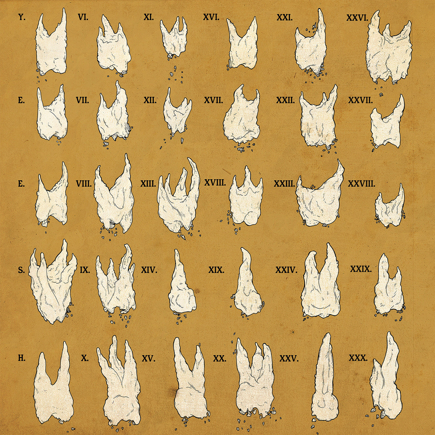 Confirmation Bias (RED VINYL) (Vinyl)