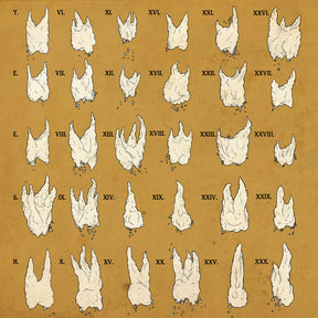 Confirmation Bias (RED VINYL) (Vinyl)