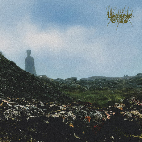 Confusion Gate [Vinyl]