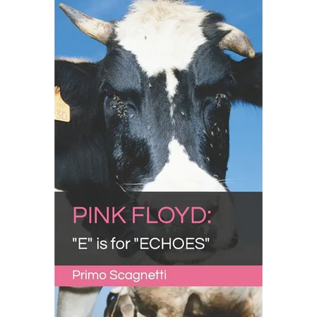Pink Floyd: "E" is for "ECHOES"