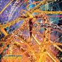 Macross Plus- Deluxe Edition (Vinyl)