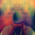 Melt (Vinyl) - Apocalypse Vinyl