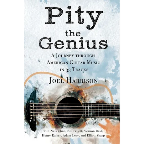Pity the Genius: A Journey through American Guitar Music in 33 Tracks