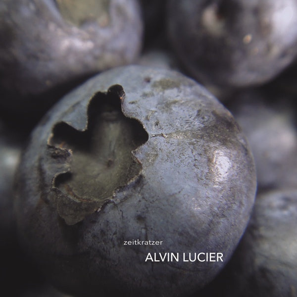 Alvin Lucier (Vinyl)