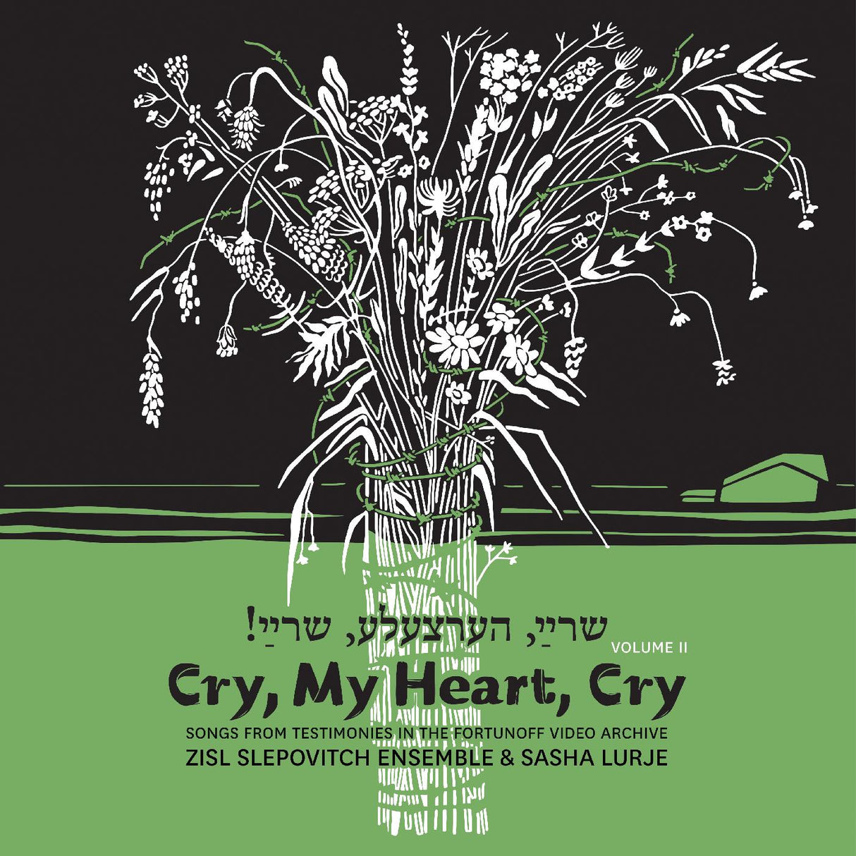 Zisl & Sasha Lurje Slepovitch Cry, My Heart, Cry - Songs From Testimonies in the Fortunoff Video Archive, Vol. 2 [Music CDs]