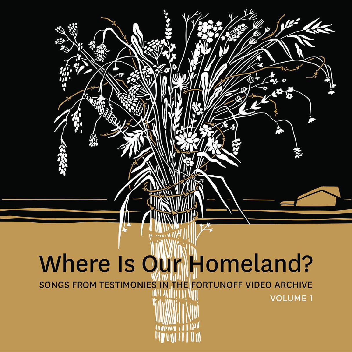 Zisl & Sasha Lurje Slepovitch Where Is Our Homeland? Songs From Testimonies in the Fortunoff Video Archive, Vol. 1 [Records & LPs]