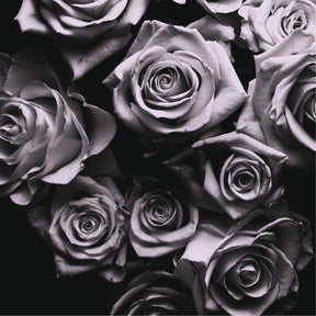 With Love (Vinyl) - Apocalypse Vinyl